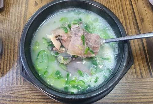 음식 사진